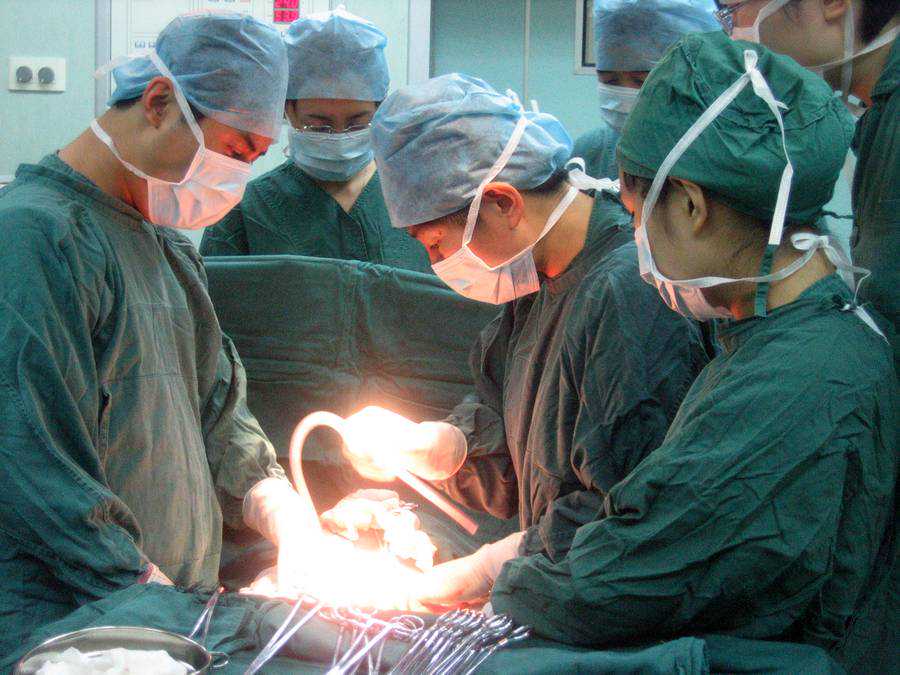 单身或失独家庭生育咨询中的医学与法律问题与流程、费用、风险说明