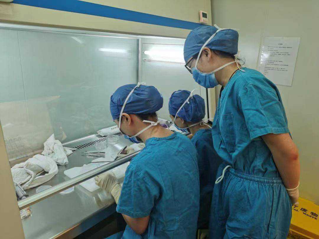 湖南高龄备孕二胎生育力评估：AMH与卵巢储备